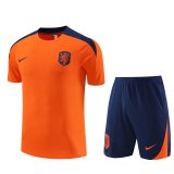 2024 Netherlands Orange Soccer Training Suit Jersey + Short Mens