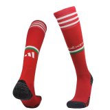 22/23 Mexico Home Mens Soccer Socks