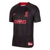 23/24 Liverpool Lebron James Anthracite/Gym Red Soccer Jersey Mens