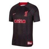 (Special Edition) 23/24 Liverpool X Lebron James Anthracite/Gym Red Soccer Jersey Mens